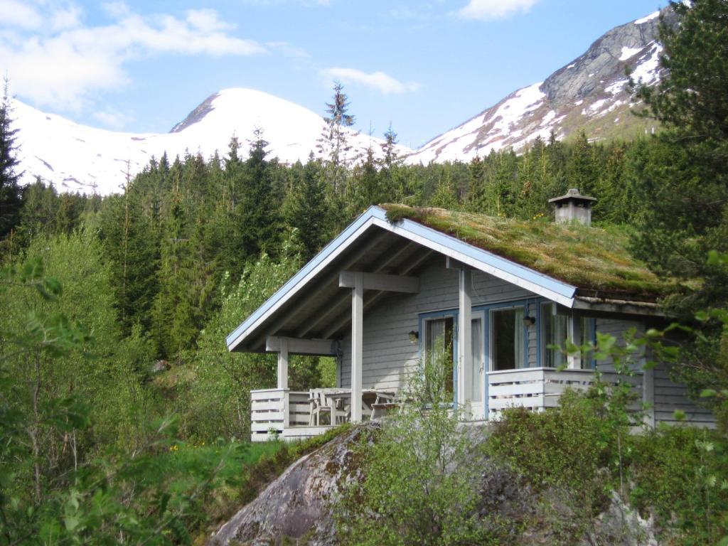 Jolsterlia Hyttetun Årdal Quarto foto